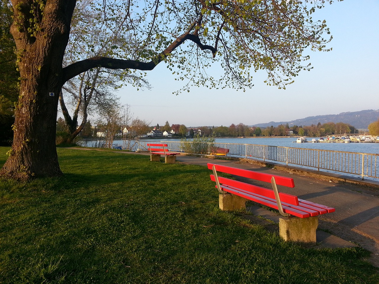 无疑再次证 无疑再次证