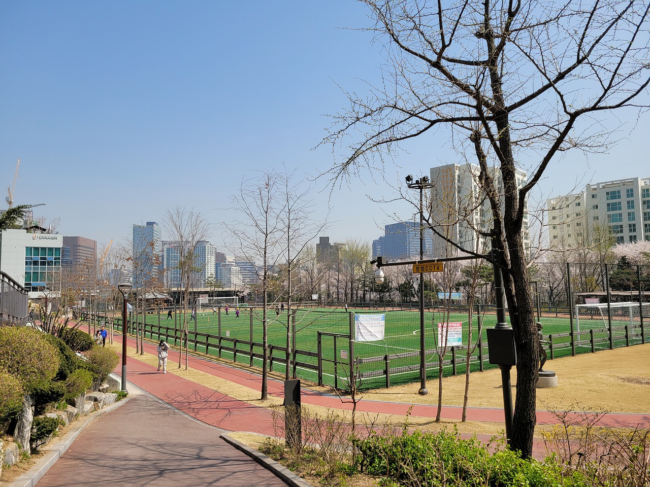 导力象征 导力象征